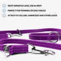 BullyBillows Training Double Ended Lead 2m Purple
