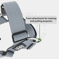 BullyBillows Tri-Harness Metal grey