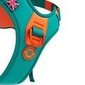 BullyBillows Hurricane Harness Turquoise x Orange