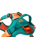 BullyBillows Hurricane Harness Turquoise x Orange