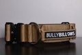 BullyBillows 5cm combat Military Tan (kahvalla)