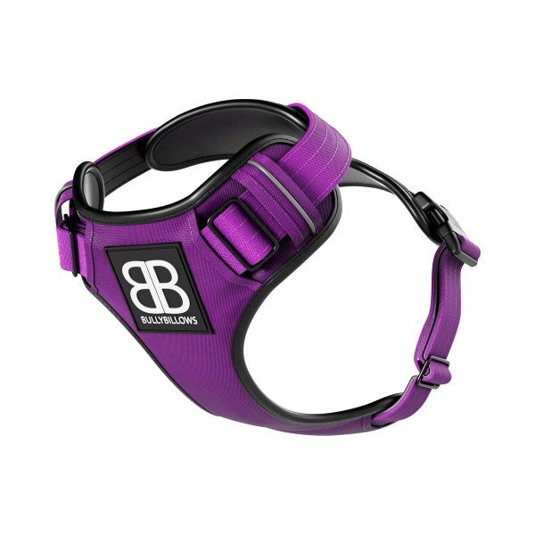 BullyBillows Comfort Premium Harness Purple