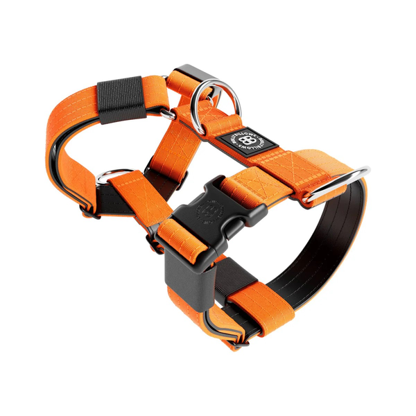 BullyBillows Tri-Harness Orange