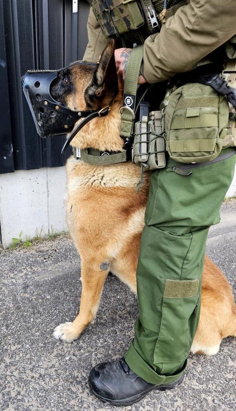 BullyBillows 5cm combat Khaki (kahvalla)