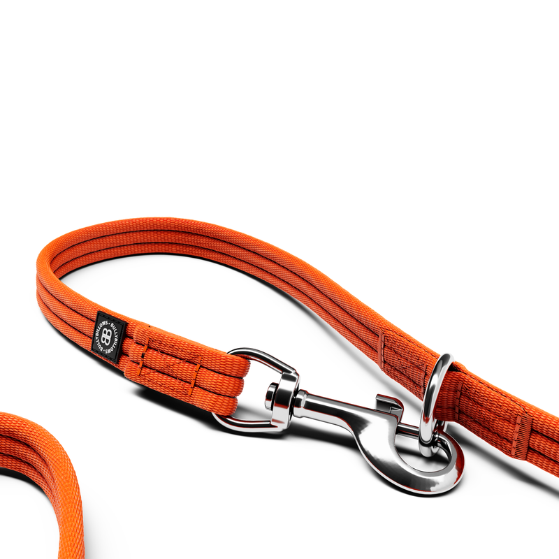 BullyBillows Training Double Ended Lead 2m Orange
