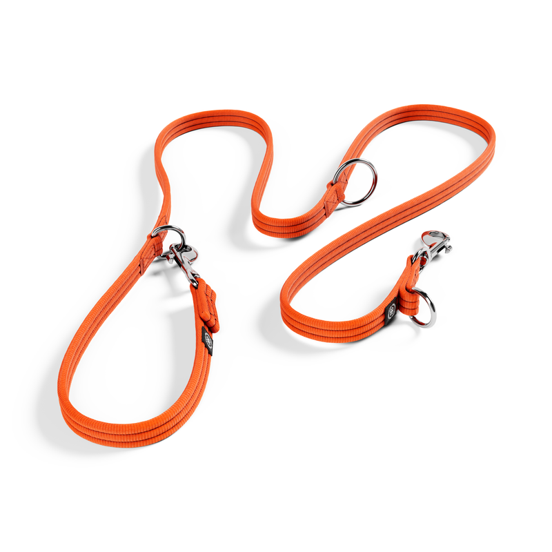 BullyBillows Training Double Ended Lead 2m Orange