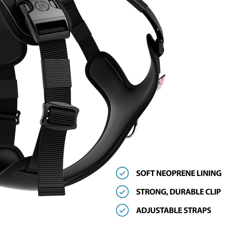 BullyBillows Hurricane Harness Black