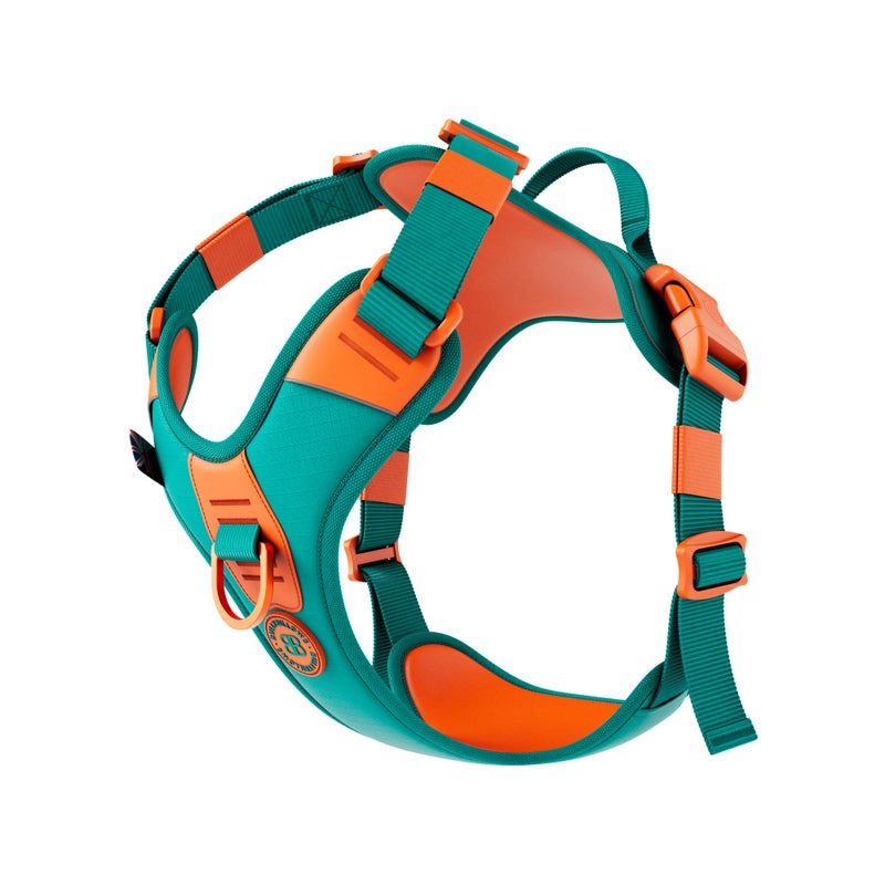 BullyBillows Hurricane Harness Turquoise x Orange