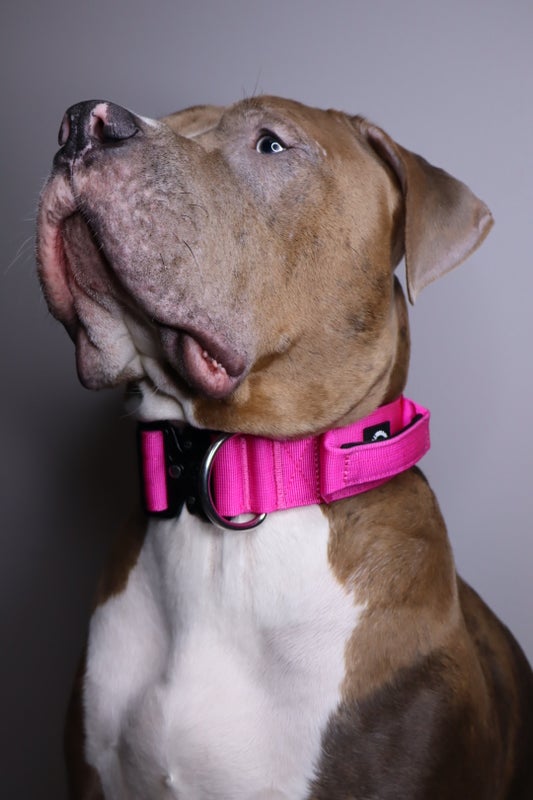 BullyBillows 5cm Combat Magenta (Kahvalla)