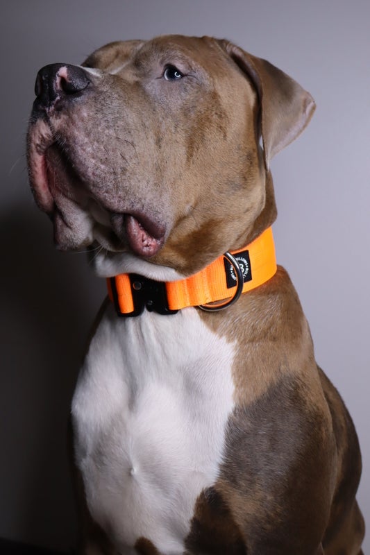 BullyBillows 5cm Combat Orange