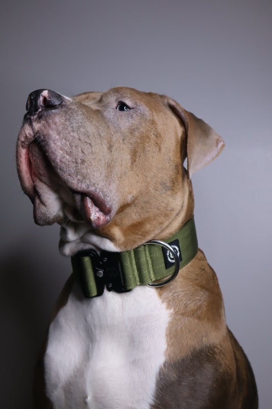 BullyBillows 5cm Combat Khaki