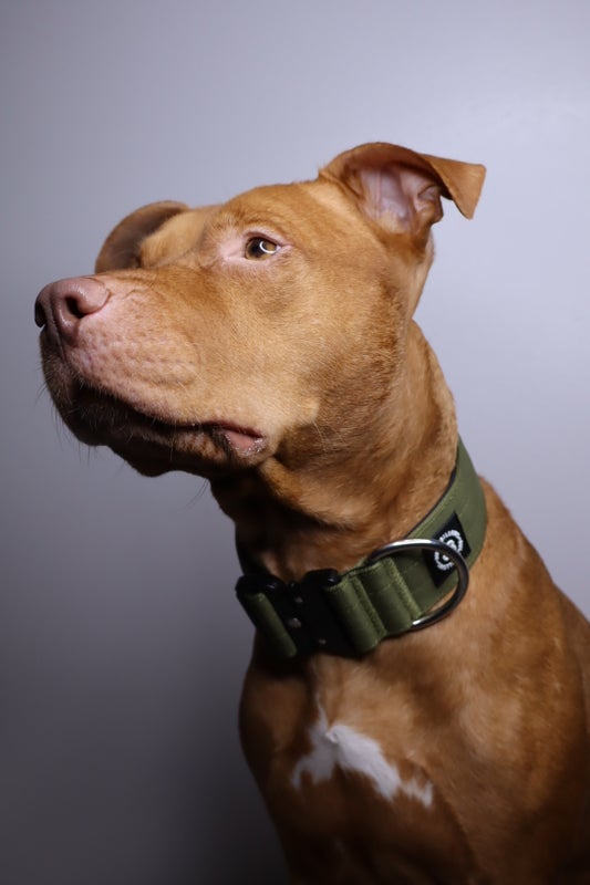 BullyBillows 5cm Combat Khaki