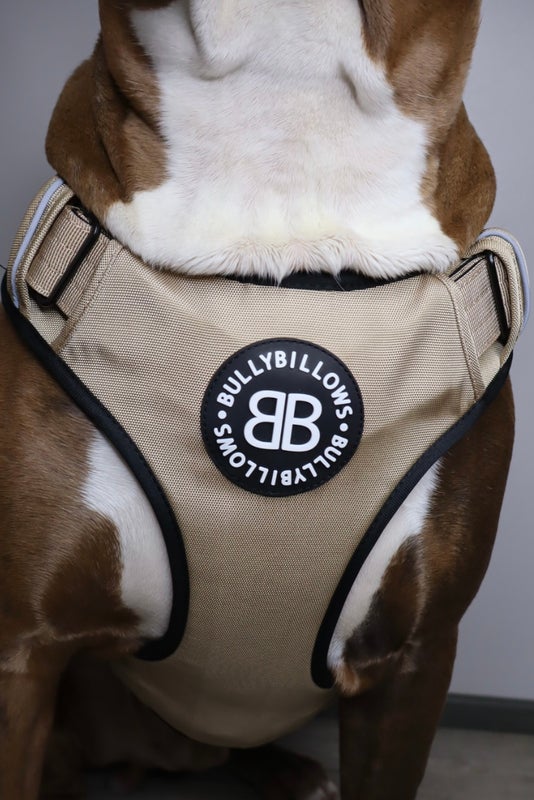 BullyBillows Comfort Premium Harness Military Tan