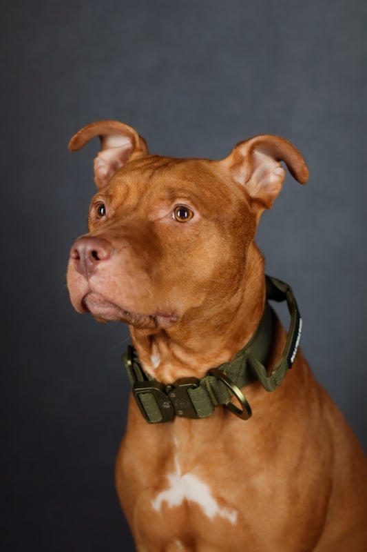 BullyBillows LIGHTER 4cm Khaki x Khaki (kahvalla)