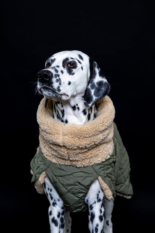 PAIKKA Quilted Sherpa Jacket Olive