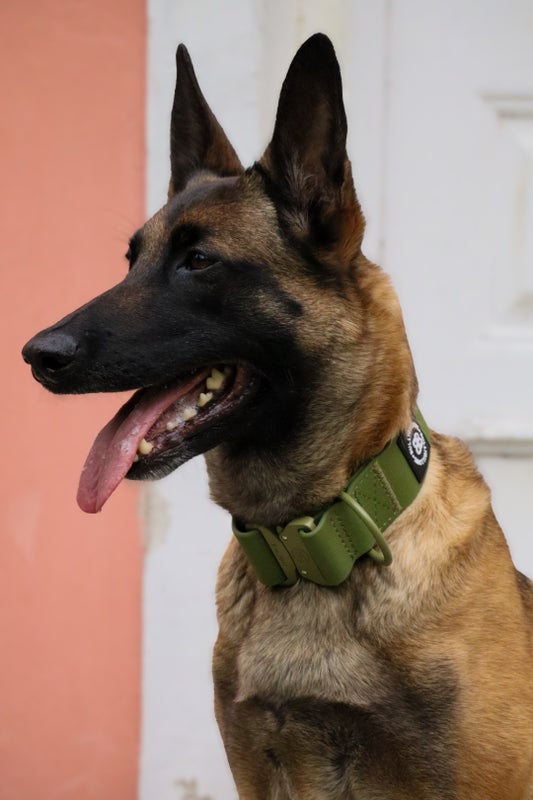 BullyBillows 5cm Combat Billowthane&reg; Khaki