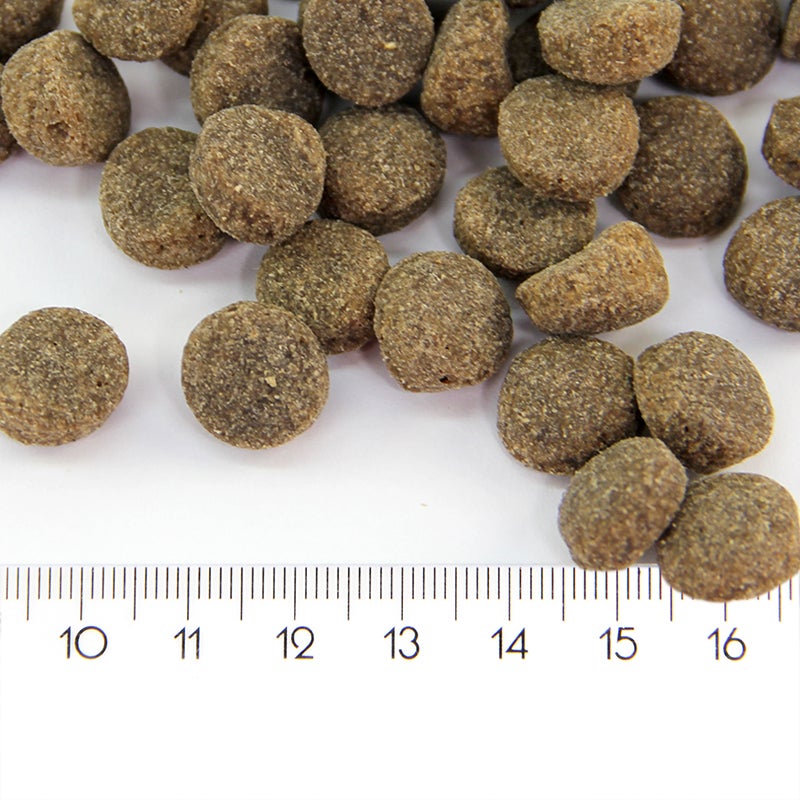 ProBooster Adult Sensitive Lamb 12kg