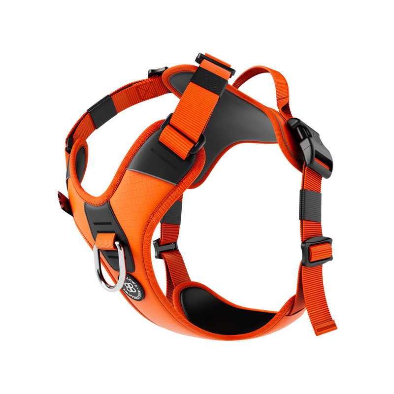 BullyBillows Hurricane Harness Orange
