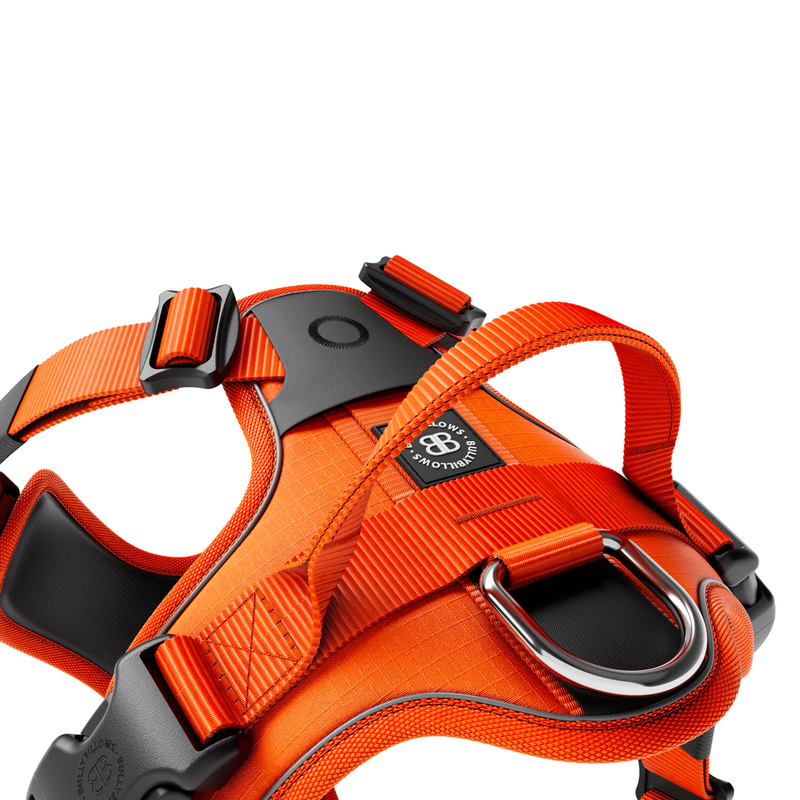 BullyBillows Hurricane Harness Orange