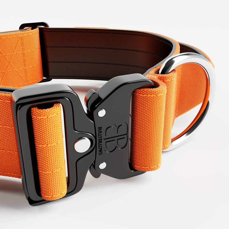 BullyBillows 5cm Combat Orange (Kahvalla)
