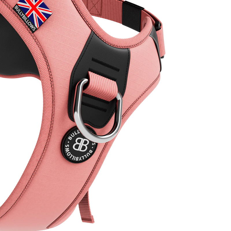 BullyBillows Hurricane Harness Pink