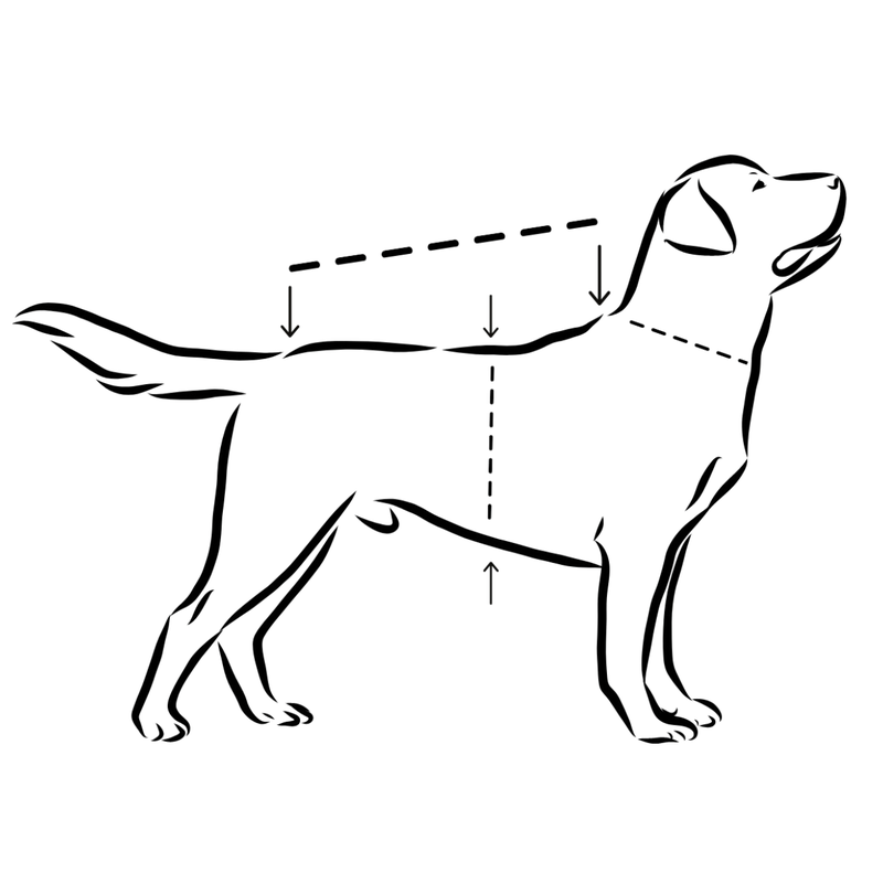 PAIKKA Visibility Winter Jacket Green Leo